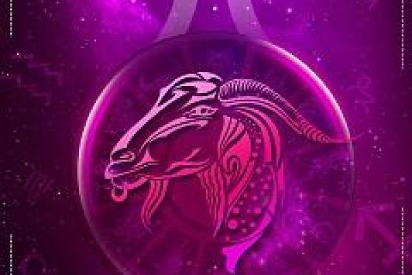 摩羯座女生适合什么星座男生_十二星座