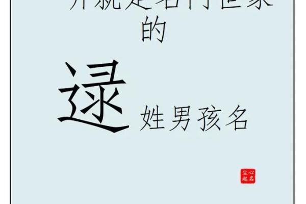 2019年6月28号子时出生的男孩如何起名姓名