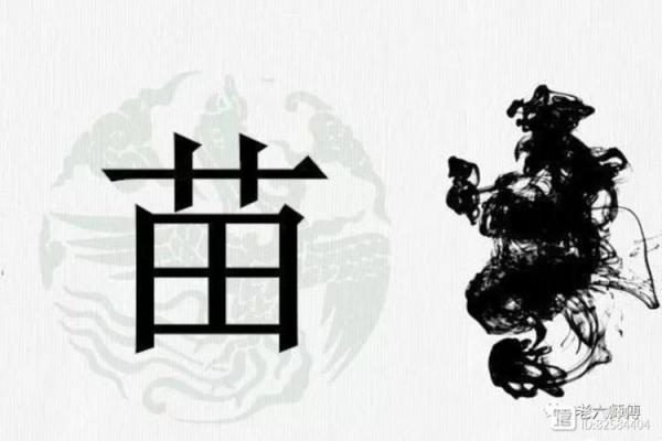 苗姓男孩名字大全-苗姓男孩起名字大全-苗姓名字大全姓名 苗姓男孩名字大全-苗姓男孩起名字大全-苗姓名字大全姓名