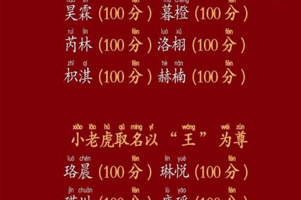 晚上11点出生的属虎男孩如何起名,应用什么字姓名 晚上11点出生的属虎男孩如何起名,应用什么字姓名