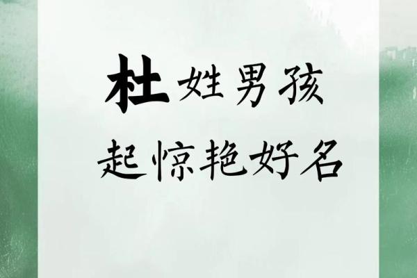杜姓女孩名字大全-杜姓女孩起名字大全-杜姓名字大全姓名